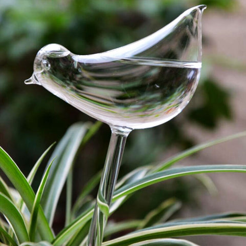 Glass Plant Flower Water Feeders