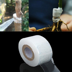 Flower Vegetable Grafting Self-adhesive