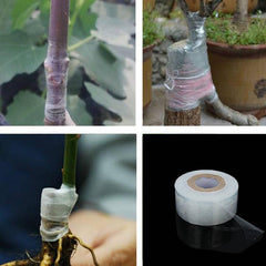 Flower Vegetable Grafting Self-adhesive