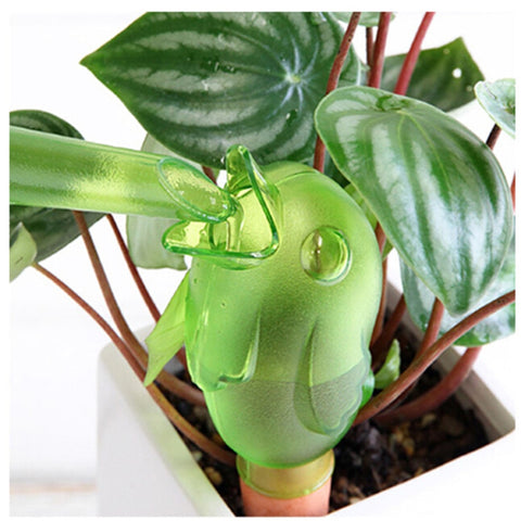 Cute Bird Gardening Flower Pot