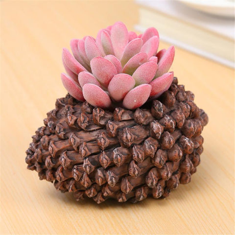 Flowerpot Pine Nuts  Shaped Fower Pots