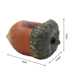 Flowerpot Pine Nuts  Shaped Fower Pots