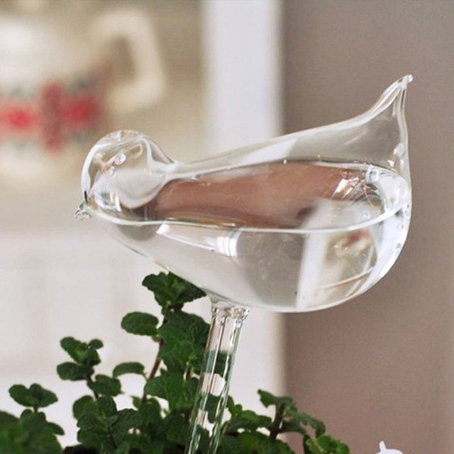 Glass Plant Flower Water Feeders