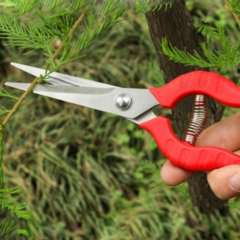 Plant Pruning Scissors Garden