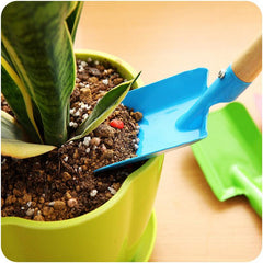 Green Plants Flowers Potting