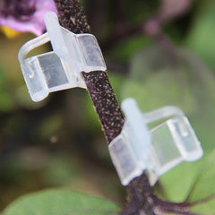 Garden Plants Seedling Tools