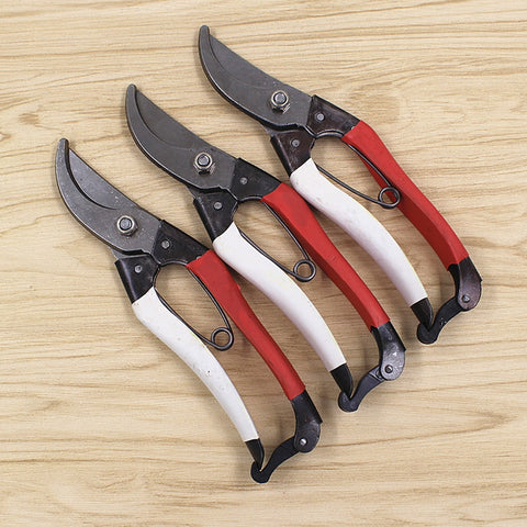 Pruning Shears High Quality Bonsai