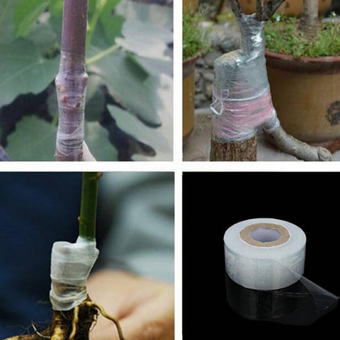 Self-adhesive Fruit Tree Grafting Tape