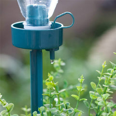 DIY Automatic Watering Tool Plant