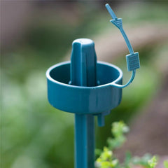 DIY Automatic Watering Tool Plant